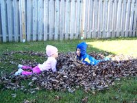 Fun in the Fall