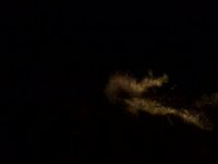 Manta Rays at Night
