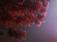 what the fog