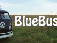 Blue Bus Tour