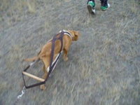 Emmit 11 14 09