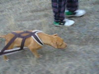 Emmit 11 14 09 #2