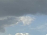 Extreme Flight RC 78 Inch Extra in different type of flying.