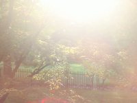 end of summer