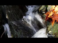 Breakheart Reservation