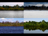 Timelapse. GAUJA, CARNIKAVA, LATVIA.