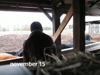 My Week #30 (November 9-15)