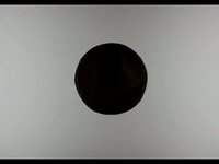 Animation 23s test