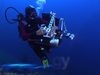 Underwater Stories