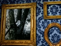 Old Photo room