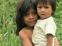 NCS: Viva Amazonia