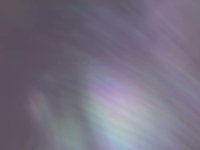 Organic Wallpaper