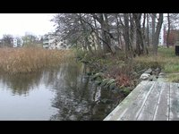 Novembermorgon - Bolinder Strand