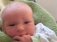 Jethro's First Year