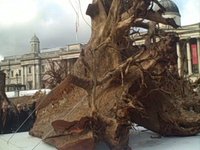 Ghost Forest - London