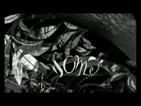 tommys