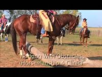 Chris Cox Horsemanship #409 LubriSyn HU