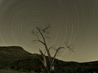 Leonid Meteor Shower - 11.16.2009