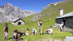 Malga di Pedenolo (cell)