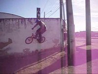 ligerin bmx
