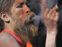 SHIVRATRI SADHUS