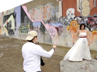 Trashing the Dress
