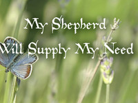My Shepherd Will Supply My Need