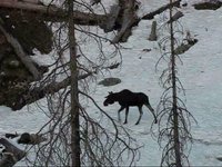 A Season in the Tetons