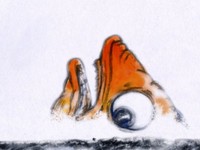 Ewan's Animation Showreel 240909