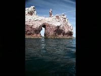 Baja SEE Turtles Nov. 2009
