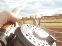 Fishing Edit