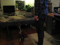 Duncan Laying