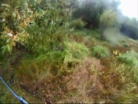 Opening day Jonson Duck Hunt