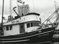Brigantine History & Culture Sample