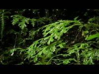 ENTORNOS VITALES