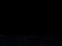 Video Feed Test
