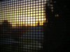 long photos