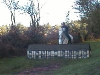 Bissell Wood XC