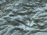 Agua, un tesoro de la naturaleza