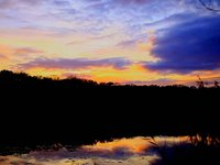 Venice Lake Time Lapse