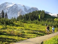 Mt. Rainier