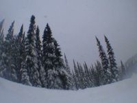 whistler nov 19th/09