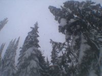november powww