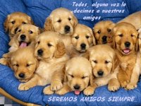 Para Ti