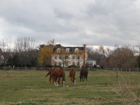 Horse Farm / Cloud Timelapse