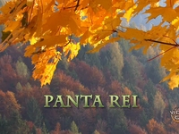Panta rei