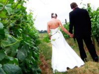 Splendor Wedding Films Demo