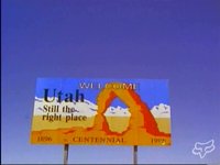 Terrafirma 3 | The Road Trip