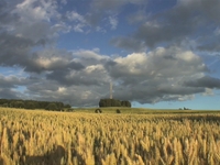 Scheere, Chemnitz, Deutschland
