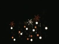 2009 Snowflake Forest